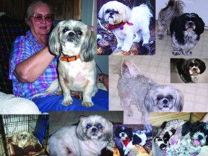 beau collage to 2007