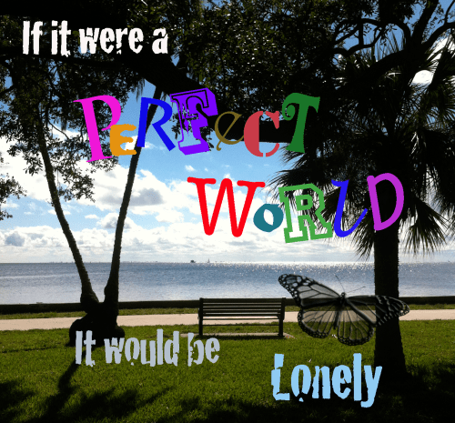 If it were a perfect world lonely