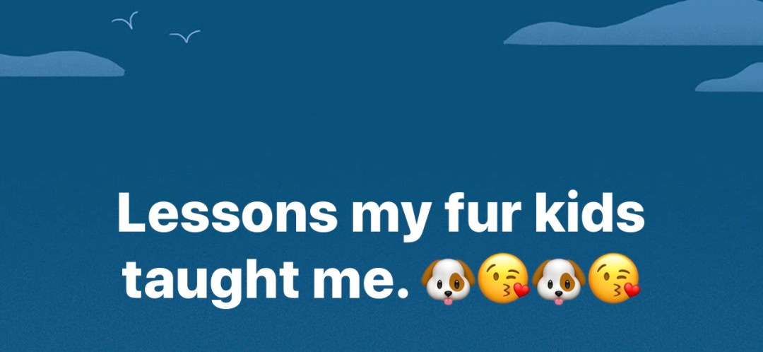 Lessons my fur kids taught me
